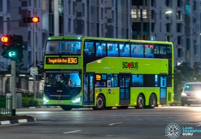 Zhongtong LCK6126EVGS