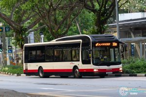 Bus 30e - SBS Transit MAN A22 (SMB310R)