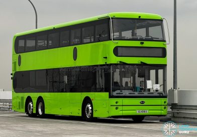 BYD B12DS
