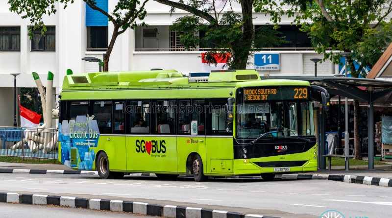 Bus 229 - SBS Transit Linkker LM312 (SG3079S)